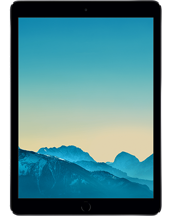 iPad Mini (4th Gen.)