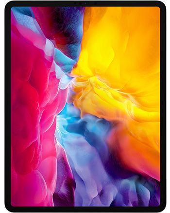 iPad Pro 12.9 inch (4th Gen.)